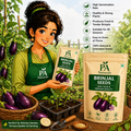 Brinjal Seeds – High Yield & Organic Quality