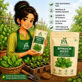 Spinach Seeds – High Yield & Organic Quality